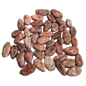 cocoabeans_homepage cocoabeans_homepage